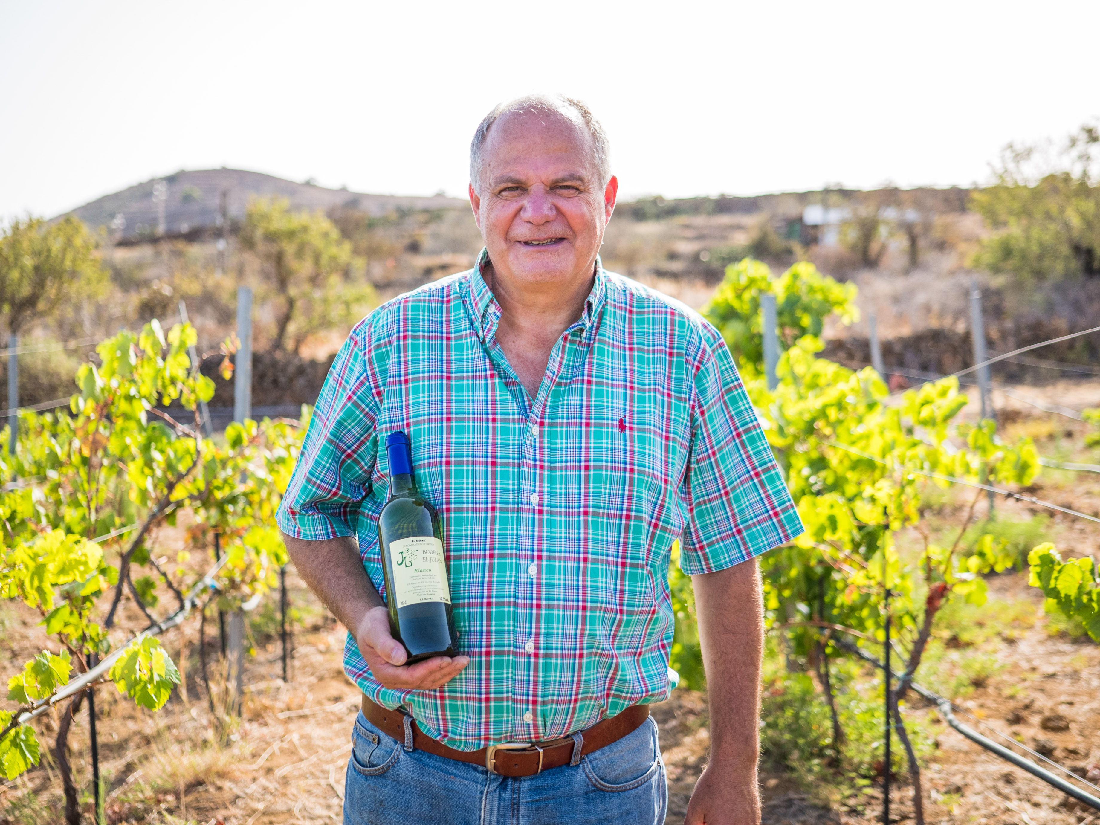 Uva TRATAMIENTOS FITOSANITARIOS. Vinos de El Hierro.